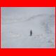 wildfeld_12-10_21.jpg