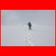wildfeld_12-10_27.jpg
