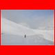 wildfeld_12-10_39.jpg