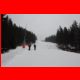 hohe_veitsch_03-11_08.jpg