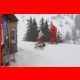 hohe_veitsch_03-11_13.jpg