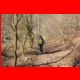 rote_wand_03-11_03.jpg