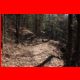 rote_wand_03-11_05.jpg