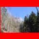 rote_wand_03-11_09.jpg