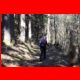 rote_wand_03-11_10.jpg