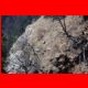rote_wand_03-11_28.jpg