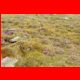 amachkogel_06-11_22.jpg