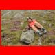 amachkogel_06-11_24.jpg