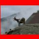 hochwildstelle_vers_08-11_61.jpg