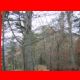 gschwendt_14.jpg