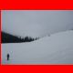laerchkogel_03-12_08.jpg