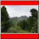 boesenstein2003_06.html