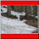ennstaler_huette_schnee04_04.JPG