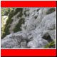 pfaffenstein_klettersteig06_24.jpg