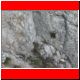 pfaffenstein_klettersteig06_26.jpg