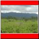 kili_tag7_16.jpg