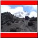 kili_tag10_14.jpg